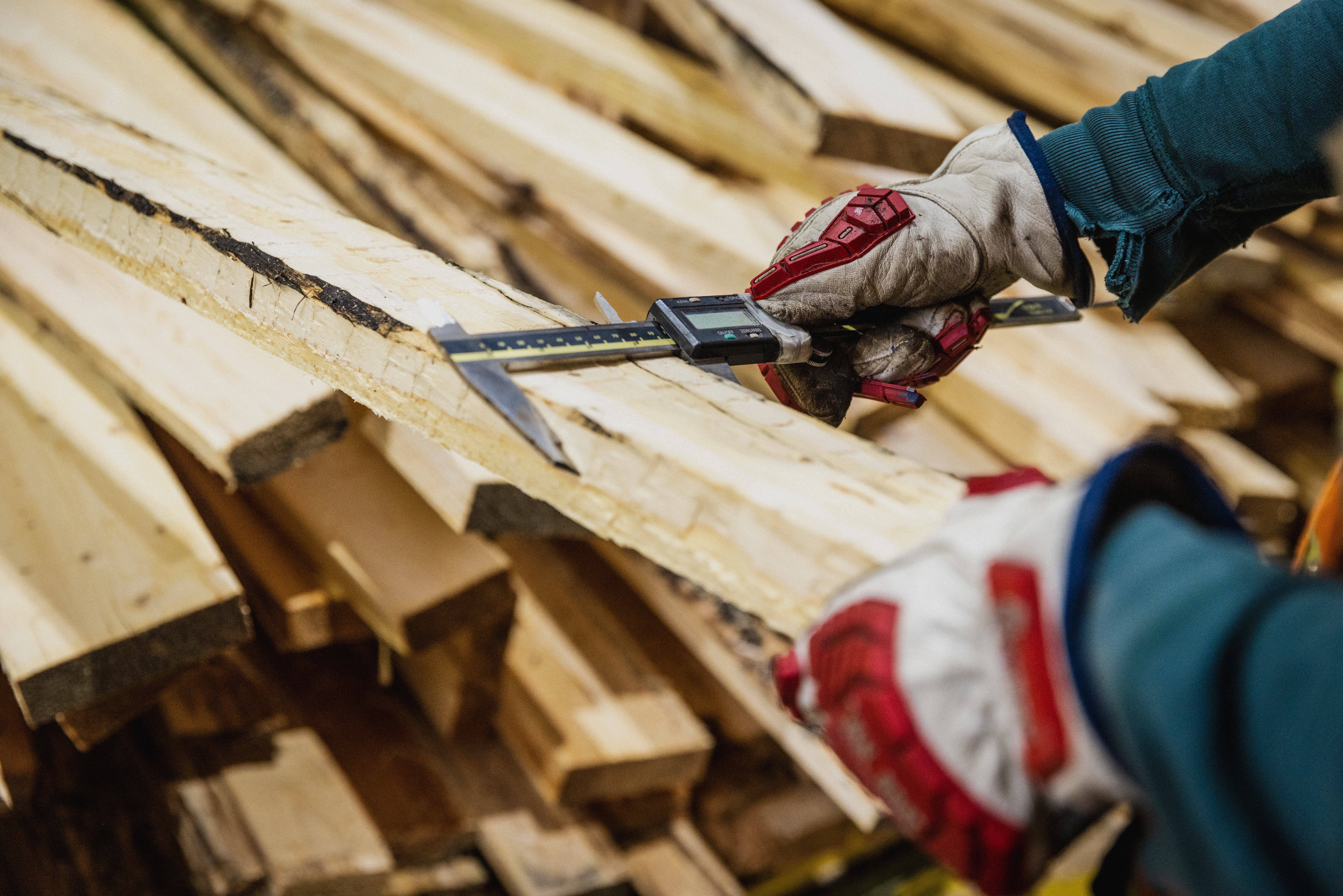 Lumber is being graded using a tool.