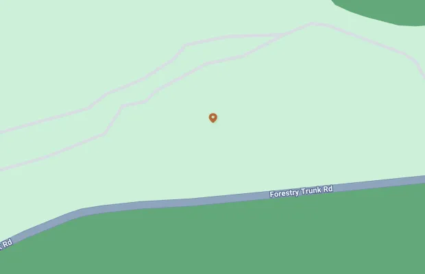 A map showing a location marker along a light green area near a road labeled "Forestry Trunk Rd.